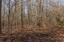 Lightning Ridge Tract 97