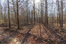 Lightning Ridge Tract 97