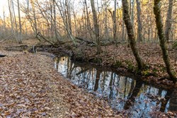 Lightning Ridge Tract 98