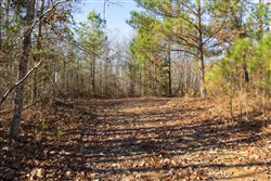 Lightning Ridge Tract 99