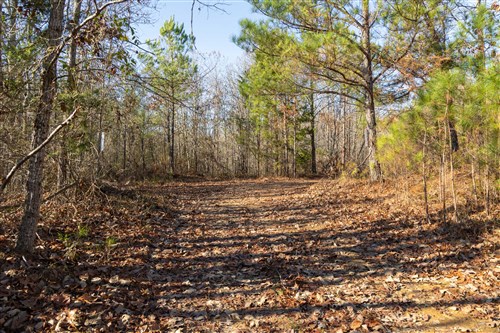 Lightning Ridge Tract 99
