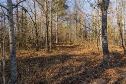 Lightning Ridge Tract 99