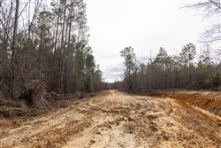 Baker Creek Tract 10