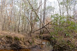 Baker Creek Tract 10