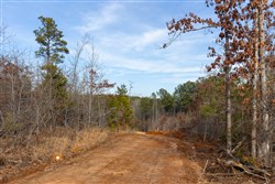Baker Creek Tract 11