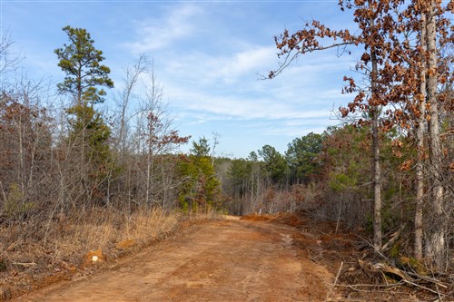 Baker Creek Tract 11