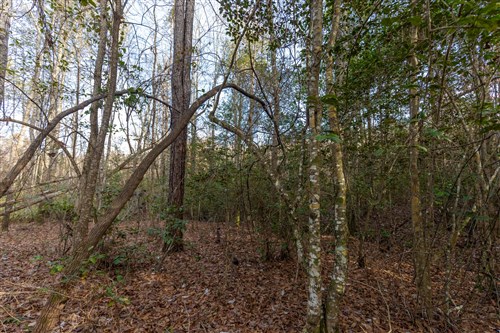 Baker Creek Tract 11