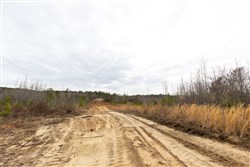 Baker Creek Tract 11