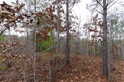 Baker Creek Tract 11