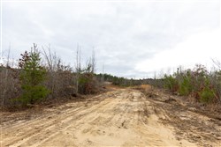 Baker Creek Tract 11