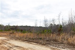 Baker Creek Tract 12