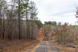 Baker Creek Tract 14