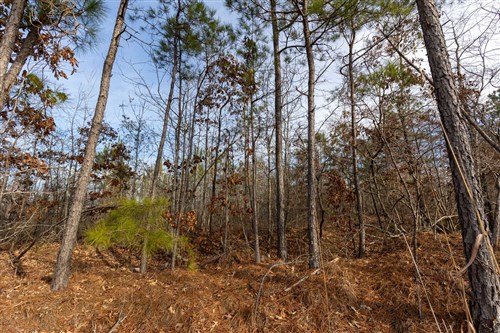 Baker Creek Tract 14