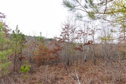 Baker Creek Tract 14