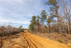 Baker Creek Tract 14