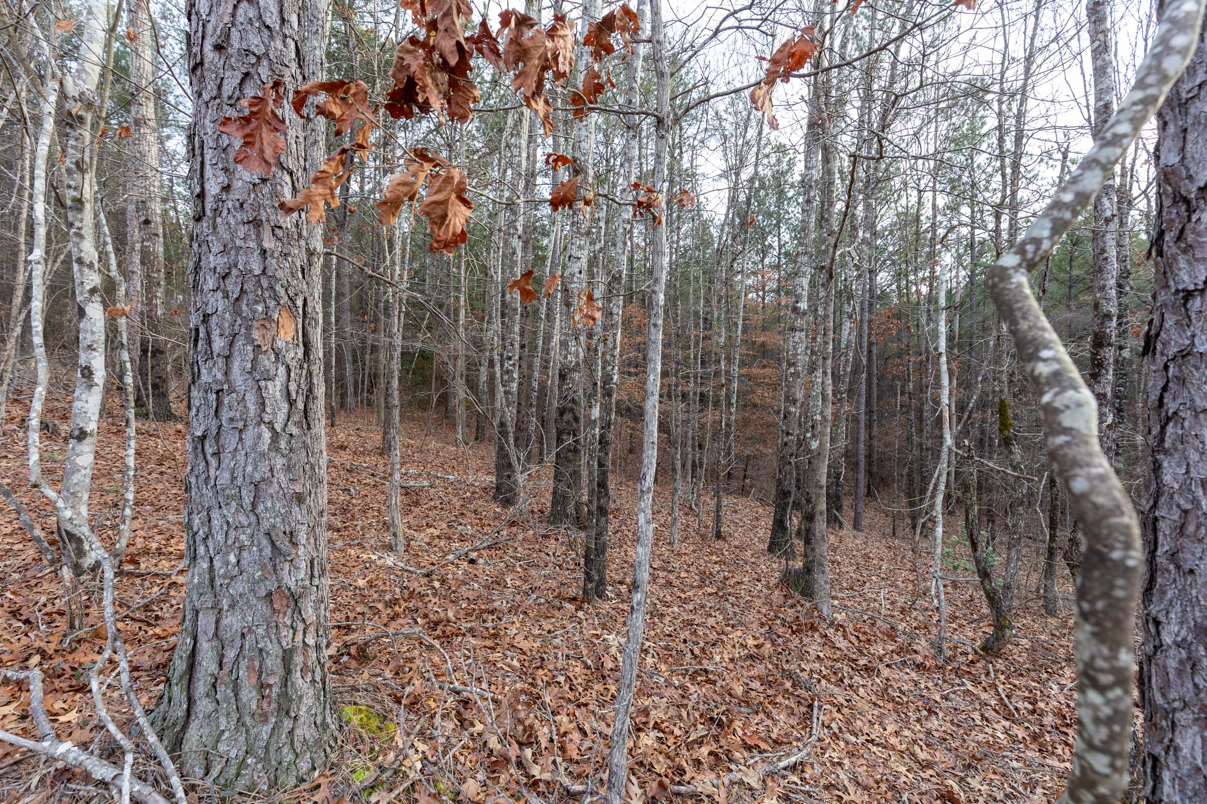 Tract 16 at Baker Creek in Fayette County, Alabama