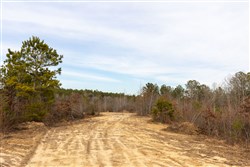 property photo for Baker Creek Tract 18, 5.92 acres for sale in Fayette County, Alabama