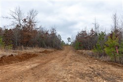 property photo for Baker Creek Tract 18, 5.92 acres for sale in Fayette County, Alabama