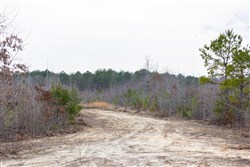 property photo for Baker Creek Tract 18, 5.92 acres for sale in Fayette County, Alabama