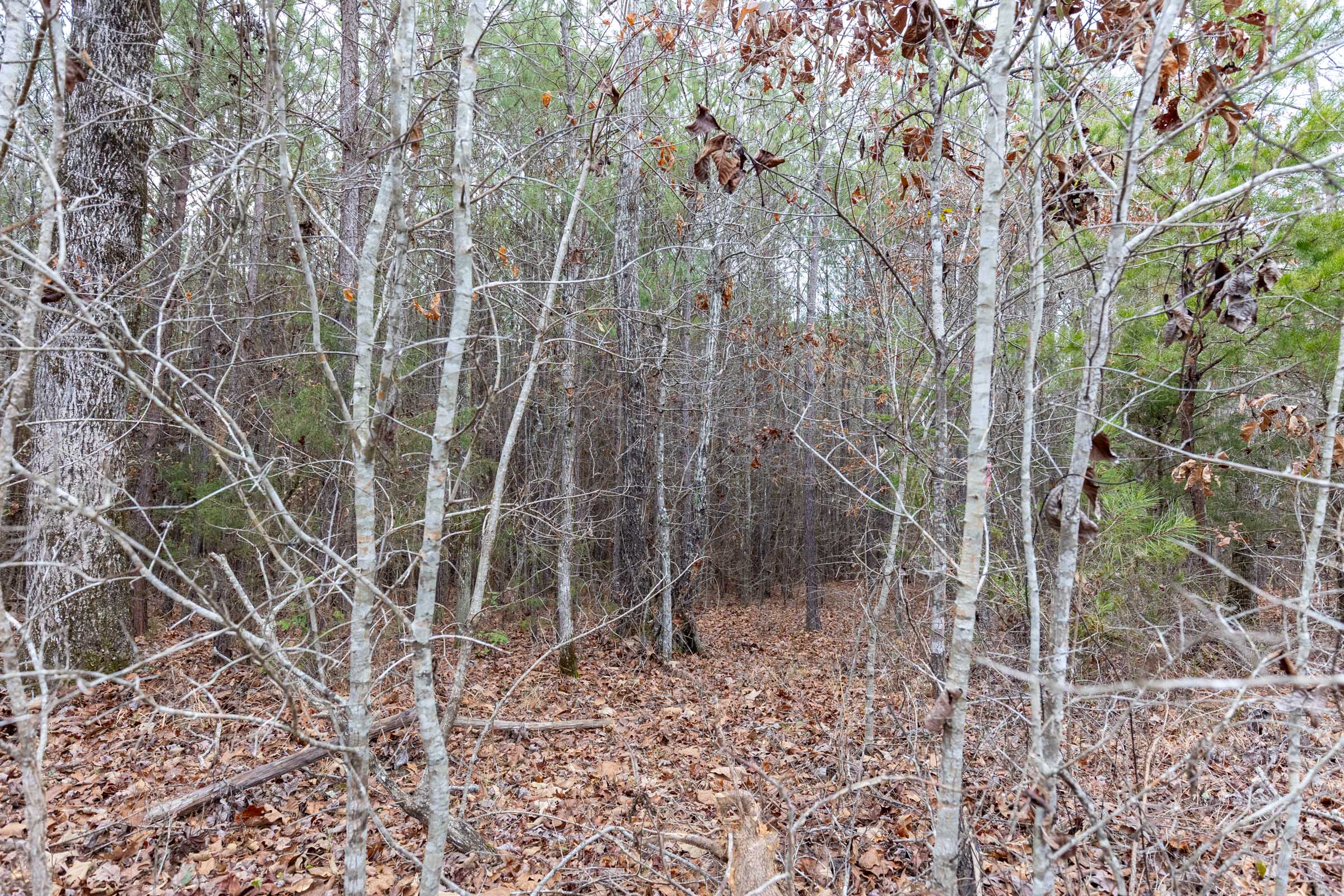 Tract 3 at Baker Creek in Fayette County, Alabama