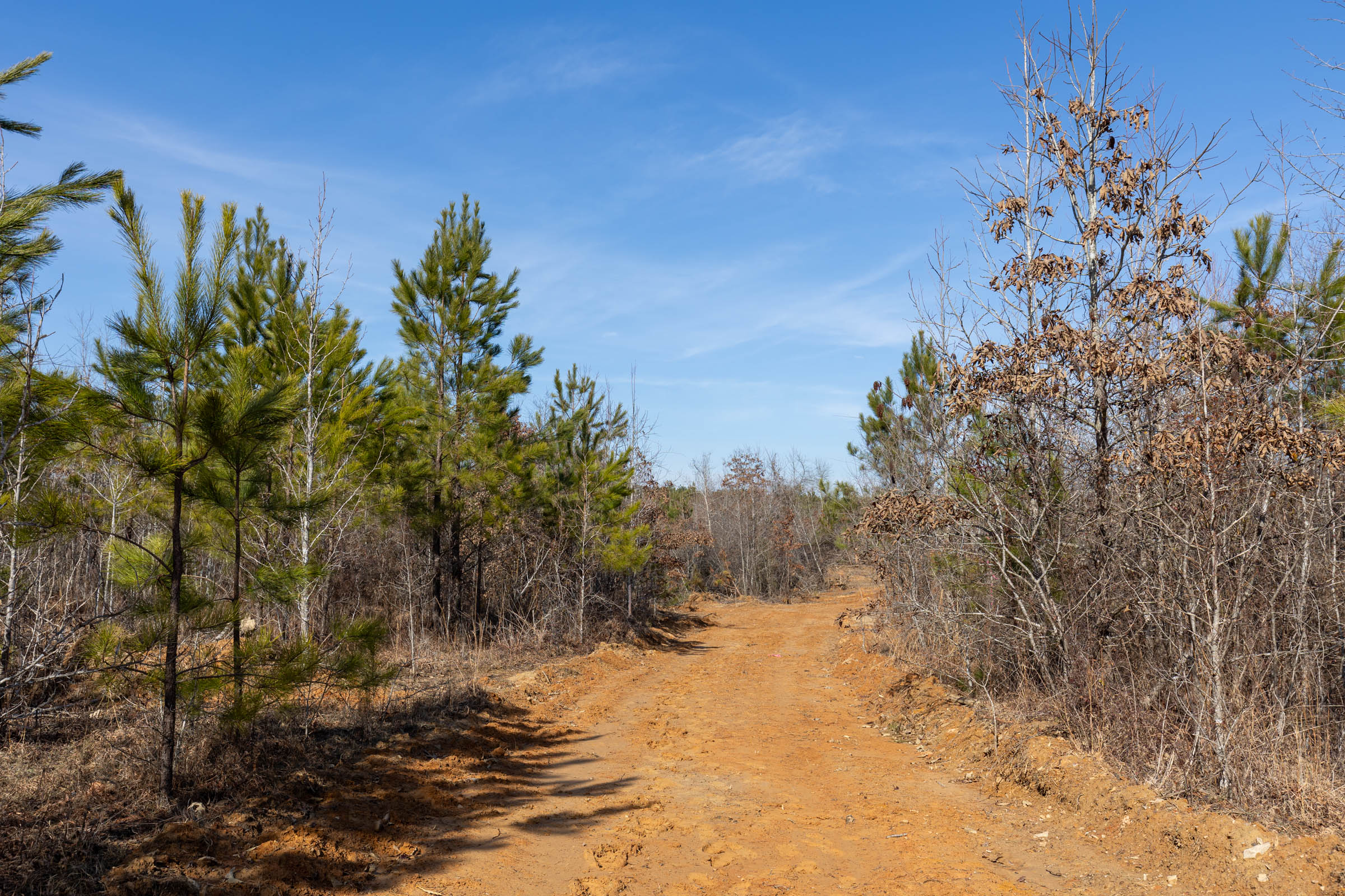 Tract 4 at Baker Creek in Fayette County, Alabama