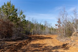 property photo for Baker Creek Tract 4, 6.06 acres for sale in Fayette County, Alabama