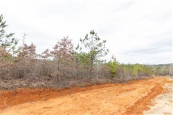 property photo for Baker Creek Tract 4, 6.06 acres for sale in Fayette County, Alabama