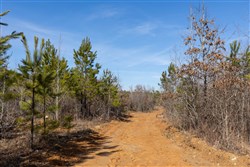 property photo for Baker Creek Tract 4, 6.06 acres for sale in Fayette County, Alabama