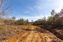 property photo for Baker Creek Tract 4, 6.06 acres for sale in Fayette County, Alabama