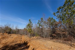property photo for Baker Creek Tract 4, 6.06 acres for sale in Fayette County, Alabama