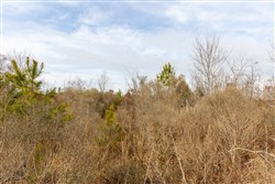 property photo for Baker Creek Tract 4, 6.06 acres for sale in Fayette County, Alabama