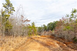 property photo for Baker Creek Tract 7, 5.52 acres for sale in Fayette County, Alabama