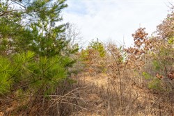 property photo for Baker Creek Tract 7, 5.52 acres for sale in Fayette County, Alabama