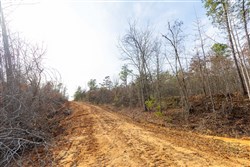property photo for Baker Creek Tract 7, 5.52 acres for sale in Fayette County, Alabama