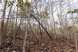 Baker Creek Tract 8