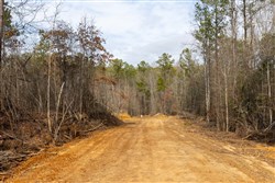 Baker Creek Tract 8