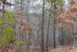 Baker Creek Tract 8