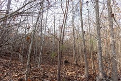 Baker Creek Tract 8