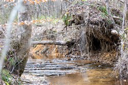 property photo for Baker Creek Tract 9, 5.38 acres for sale in Fayette County, Alabama