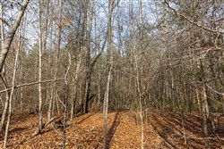 property photo for Baker Creek Tract 9, 5.38 acres for sale in Fayette County, Alabama