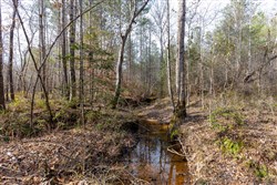 property photo for Baker Creek Tract 9, 5.38 acres for sale in Fayette County, Alabama