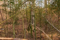 Fairview Hills Tract 1