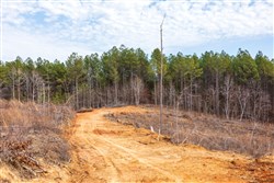 Fairview Hills Tract 10