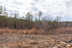 Fairview Hills Tract 10