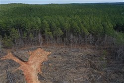 Fairview Hills Tract 11