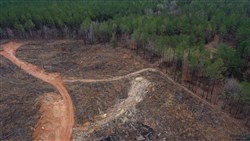 Fairview Hills Tract 11