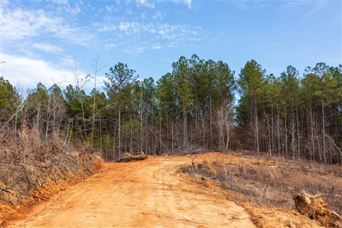 Fairview Hills Tract 11