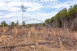 Fairview Hills Tract 11