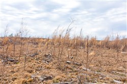 Fairview Hills Tract 11