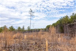 Fairview Hills Tract 11